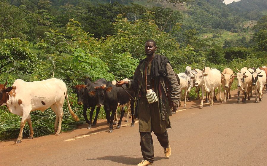 Région — Bafing, chef-lieu Touba