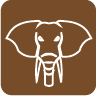 ICON ELEP